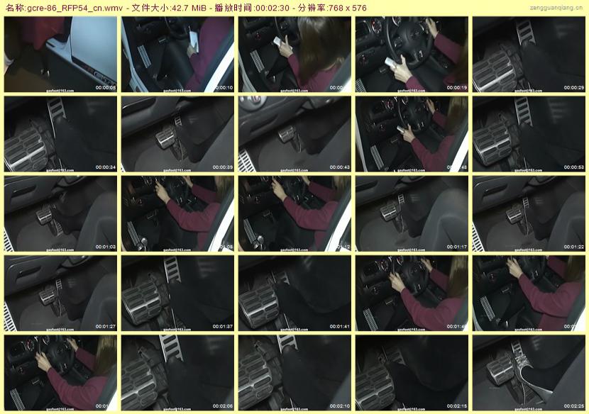 gcre-86_RFP54_cn
